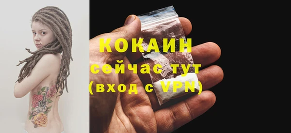 дурь Богданович