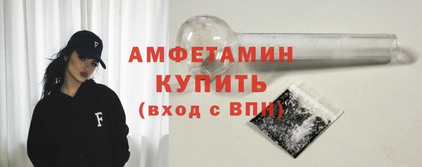 гидра Бронницы