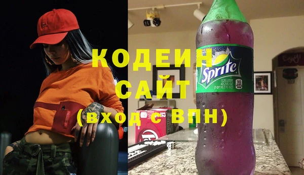 гидра Бронницы