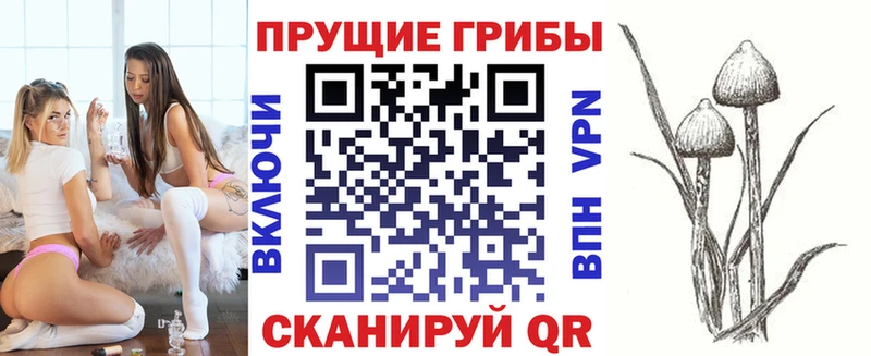 где купить наркоту  Велиж  Галлюциногенные грибы MAGIC MUSHROOMS 